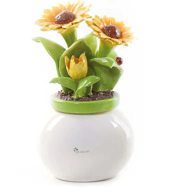Pianta Grandissima Girasole F5G