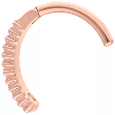 Clicker Ombelico Cristalli Rettangolari In Titanio Wildcat BCX041610RG