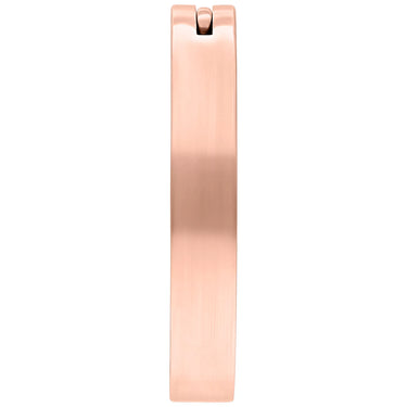 Clicker Ombelico In Titanio Wildcat BCX051610RG