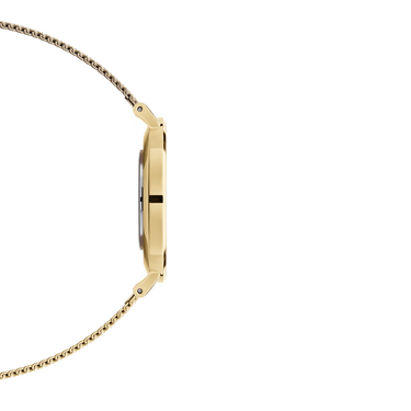 Orologio Daniel Wellington Petite Evergold Black DW00100347